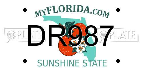 DR987 Florida License Plate