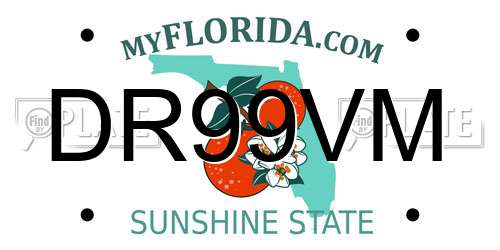 DR99VM Florida License Plate