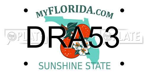 DRA53 Florida License Plate