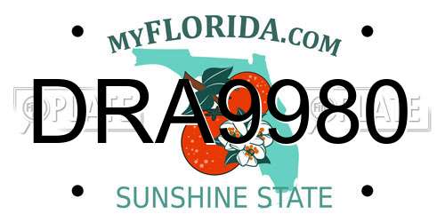 DRA9980 Florida License Plate