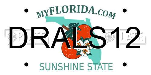 DRALS12 Florida License Plate