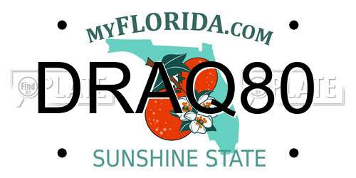 DRAQ80 Florida License Plate