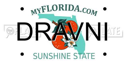 DRAVNI Florida License Plate