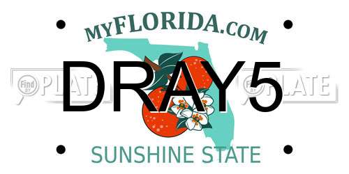 DRAY5 Florida License Plate