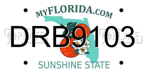 DRB9103 Florida License Plate