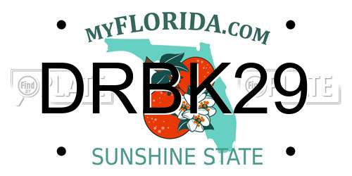 DRBK29 Florida License Plate