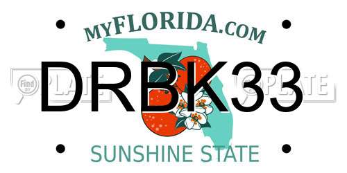 DRBK33 Florida License Plate