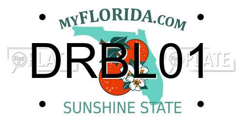 DRBL01 Florida License Plate