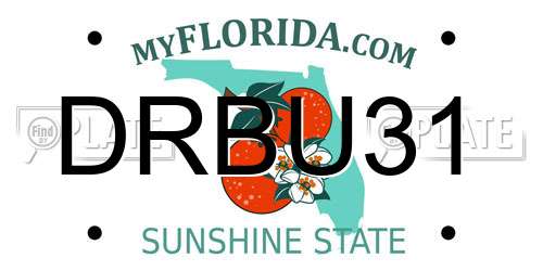 DRBU31 Florida License Plate