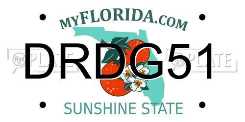 DRDG51 Florida License Plate