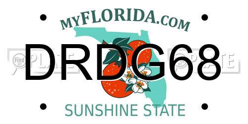 DRDG68 Florida License Plate