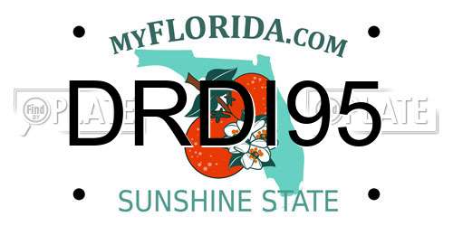 DRDI95 Florida License Plate