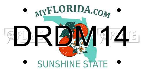 DRDM14 Florida License Plate