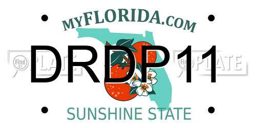 DRDP11 Florida License Plate