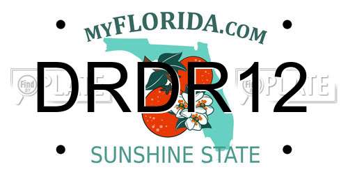 DRDR12 Florida License Plate
