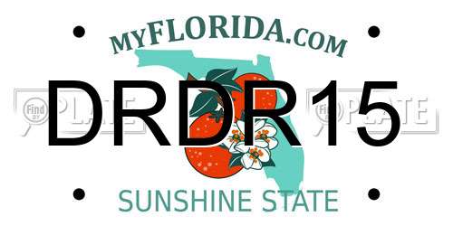 DRDR15 Florida License Plate