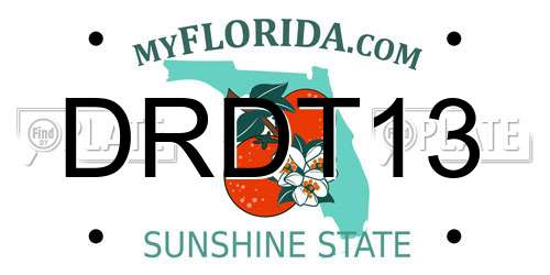 DRDT13 Florida License Plate