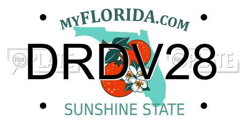 DRDV28 Florida License Plate