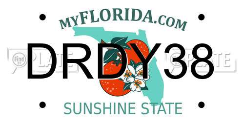 DRDY38 Florida License Plate