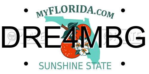 DRE4MBG Florida License Plate