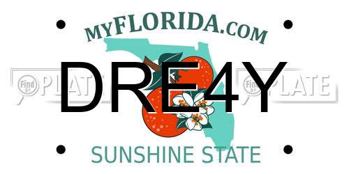 DRE4Y Florida License Plate