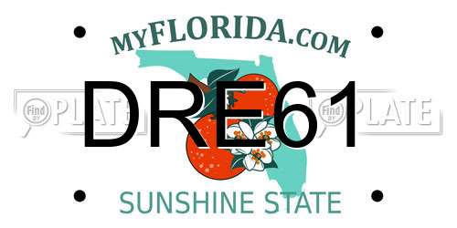 DRE61 Florida License Plate