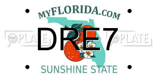DRE7 Florida License Plate