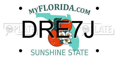 DRE7J Florida License Plate