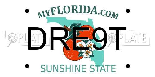 DRE9T Florida License Plate