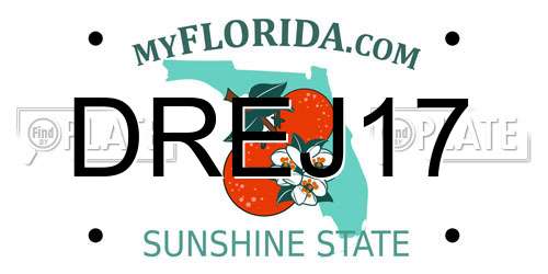 DREJ17 Florida License Plate