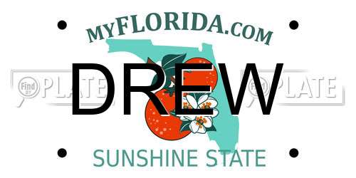 DREW Florida License Plate