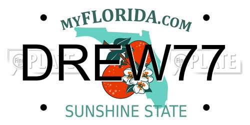 DREW77 Florida License Plate