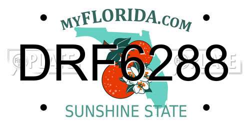 DRF6288 Florida License Plate