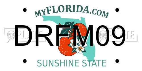 DRFM09 Florida License Plate