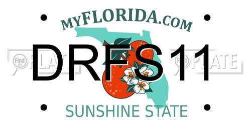 DRFS11 Florida License Plate
