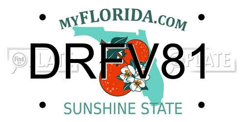 DRFV81 Florida License Plate