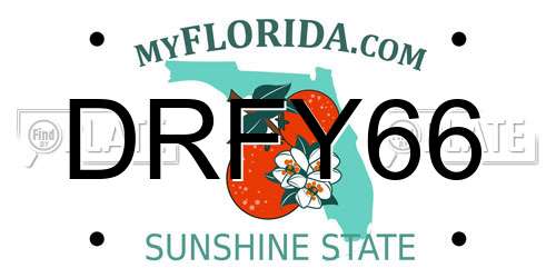 DRFY66 Florida License Plate