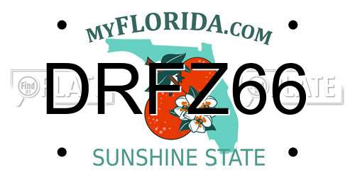 DRFZ66 Florida License Plate