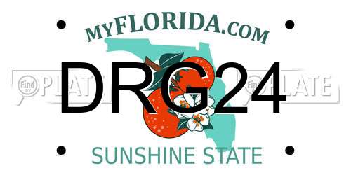 DRG24 Florida License Plate