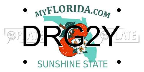 DRG2Y Florida License Plate