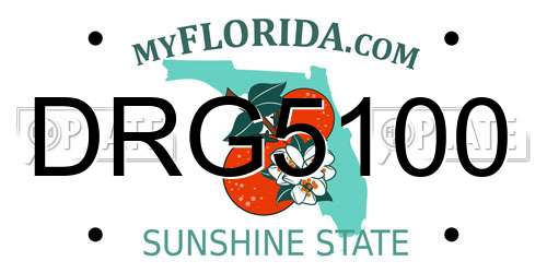 DRG5100 Florida License Plate
