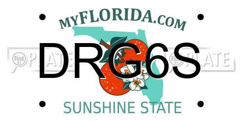 DRG6S Florida License Plate