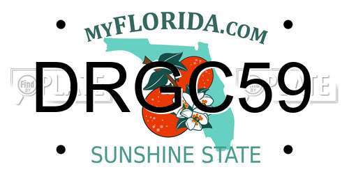 DRGC59 Florida License Plate