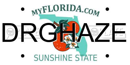 DRGHAZE Florida License Plate