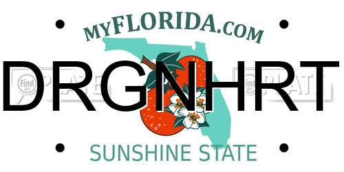 DRGNHRT Florida License Plate