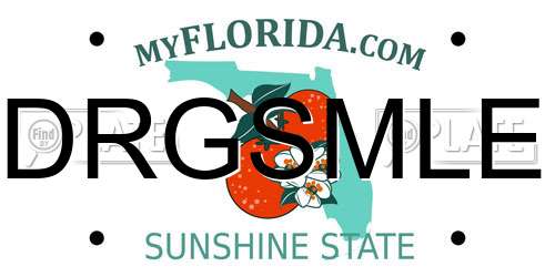 DRGSMLE Florida License Plate
