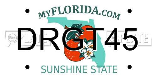 DRGT45 Florida License Plate