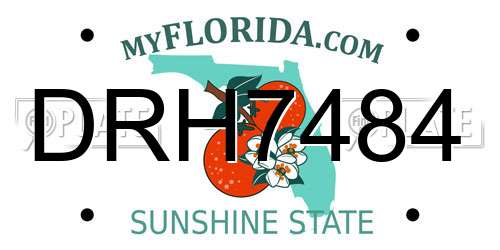 DRH7484 Florida License Plate