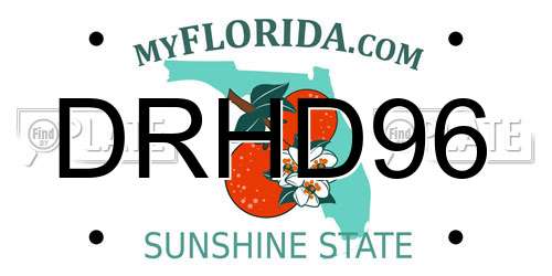DRHD96 Florida License Plate