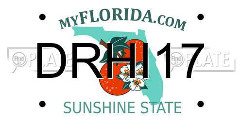 DRHI17 Florida License Plate